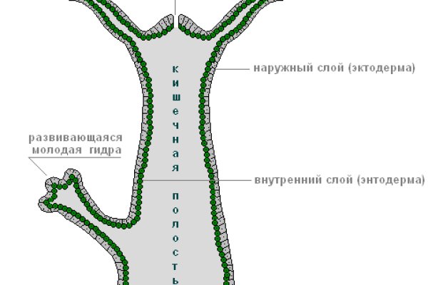 Кракен kr2web in сайт официальный