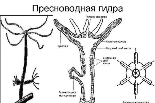 2krn ссылка