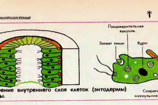 Маркет плей кракен